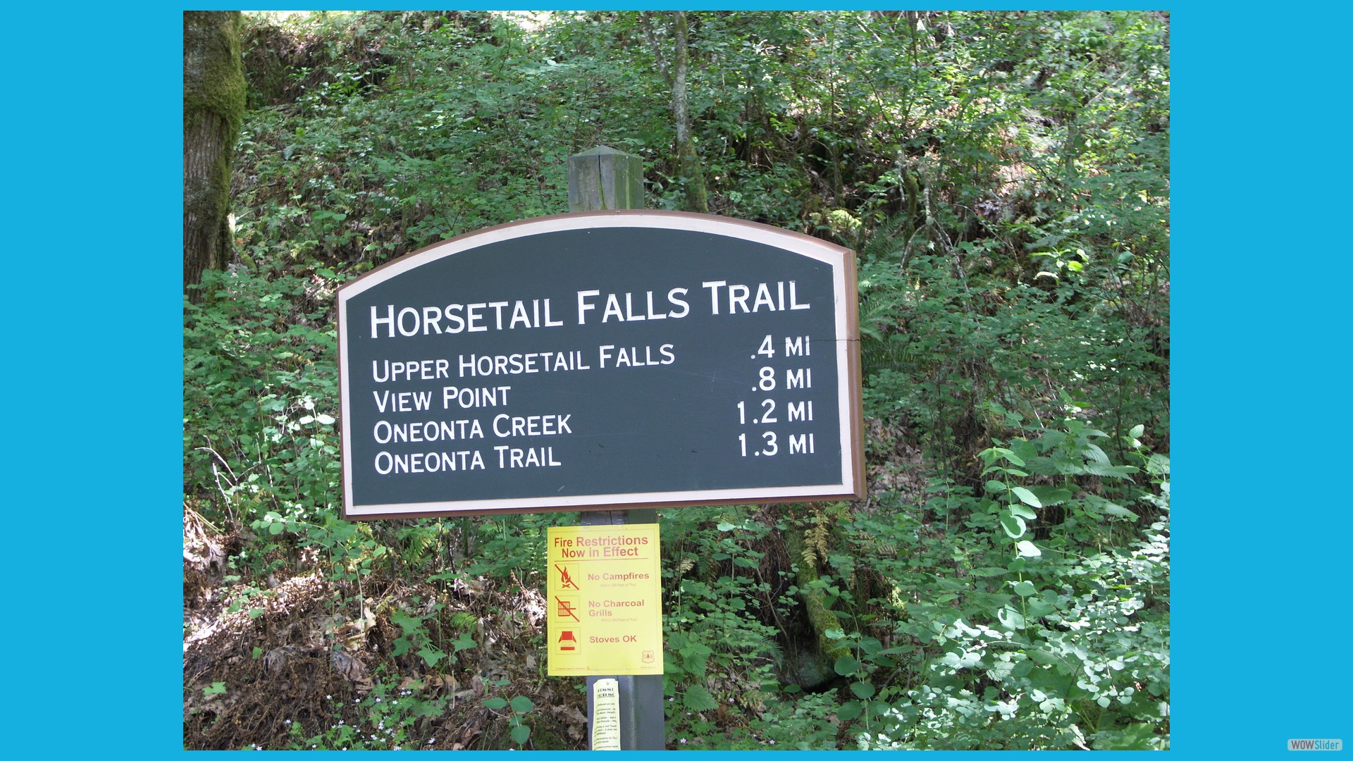 4Horsetail_Falls00