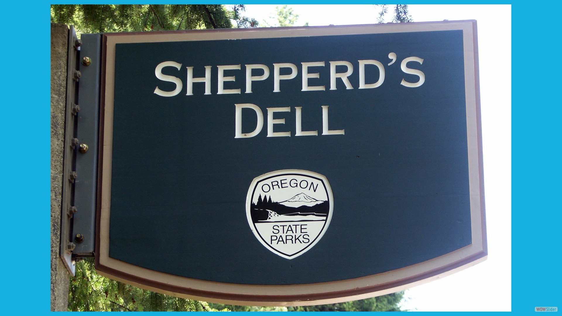 Shepperd's_Dell001